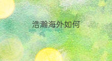 浩瀚海外如何 如何海外采购