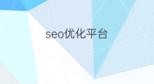 seo优化平台 seo平台优化