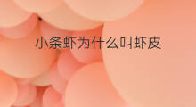小条虾为什么叫虾皮 虾皮为什么叫虾公