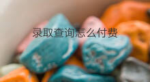 录取查询怎么付费 鹰眼查询怎么付费