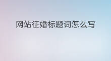 网站征婚标题词怎么写 标题词语网站怎么写