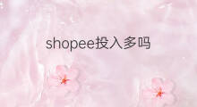 shopee投入多吗 跨境电商投入多吗