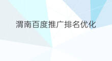 渭南百度推广排名优化 渭南百度排名优化