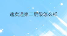 速卖通第二层级怎么样 做速卖通怎么样