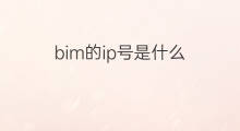bim的ip号是什么 ip的As号是什么