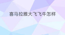 喜马拉雅大飞飞牛怎样 牛听听怎么绑喜马拉雅
