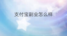 支付宝副业怎么样 支付宝如何支付亚马逊