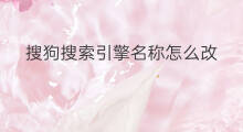搜狗搜索引擎名称怎么改 手机怎么改回搜狗搜索引擎