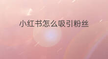 小红书怎么吸引粉丝 小红书怎么吸引同城