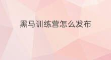 黑马训练营怎么发布 黑马训练营怎么打