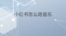 小红书怎么陪音乐 快手怎么陪音乐