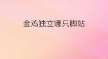 金鸡独立哪只脚站 金鸡独立怎么站