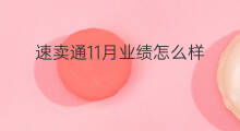 速卖通11月业绩怎么样 速卖通erp怎么样