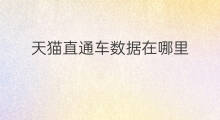 天猫直通车数据在哪里 天猫直通车在哪里充值