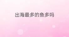 出海最多的鱼多吗 出海最多的几种鱼