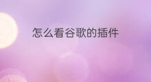 怎么看谷歌的插件 谷歌插件怎么看