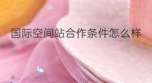 国际空间站合作条件怎么样 国际空间站怎么合作发射