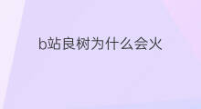 b站良树为什么会火 b站为什么比a站火