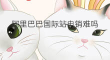 阿里巴巴国际站电销难吗 阿里巴巴国际站升2星难吗