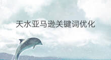 天水亚马逊关键词优化 天水seo优化关键词