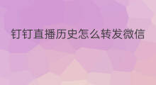 钉钉直播历史怎么转发微信 钉钉直播文件怎么转发微信
