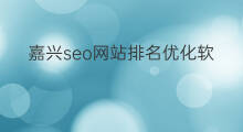 嘉兴seo网站排名优化软件教程 seo网站排名优化软件教程