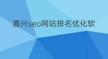 嘉兴seo网站排名优化软件教程 seo网站排名优化软件教程