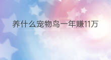 养什么宠物鸟一年赚11万 一年赚20万能养什么花 养什么宠物鸟一年赚11万 一年赚20万能养什么花