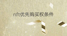 nft优先购买权条件 nft优先购啥意思