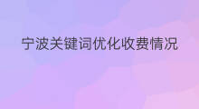 宁波关键词优化收费情况 宁波关键词优化收费低