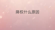 降权什么原因 经常降权什么原因