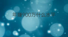 年赚900万什么水平 年赚500万什么水平知乎