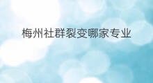 梅州社群裂变哪家专业 梅州社群裂变在哪里看