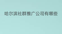 哈尔滨社群推广公司有哪些 哈尔滨有什么社群