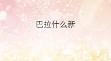 巴拉什么新 拉新什么运营