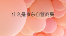 什么是京东自营商品 快手自营商品在哪里