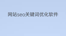 网站seo关键词优化软件 seo网站关键词优化软件