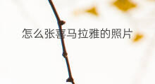怎么张喜马拉雅的照片 怎样修改喜马拉雅头像照片