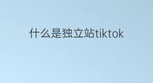 什么是独立站tiktok tiktok独立站有什么要求