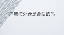 洋葱海外仓是合法的吗 洋葱海外仓好做吗