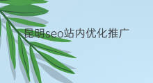 昆明seo站内优化推广 昆明seo优化