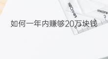 如何一年内赚够20万块钱 怎样一年赚够20万块钱