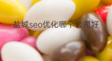 盐城seo优化哪个公司好 盐城seo优化