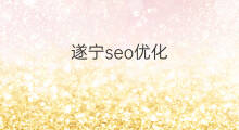 遂宁seo优化 遂宁seo站内优化