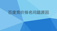 百度竞价排名问题原因 百度竞价排名什么创新