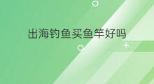 出海钓鱼买鱼竿好吗 出海钓鱼用什么鱼竿