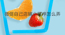 微信自己店铺小程序怎么弄 微信怎么弄小程序