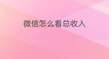 微信怎么看总收入 微信钱包怎么看总收入