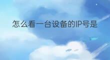 怎么看一台设备的IP号是什么 手机号是一台一个ip吗