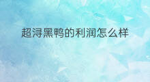 超浔黑鸭的利润怎么样 抓饭的利润怎么样